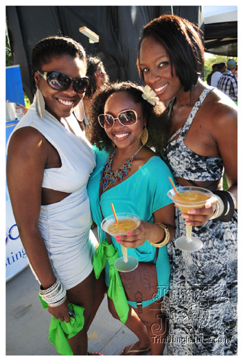 beach_house_2012_part1-030