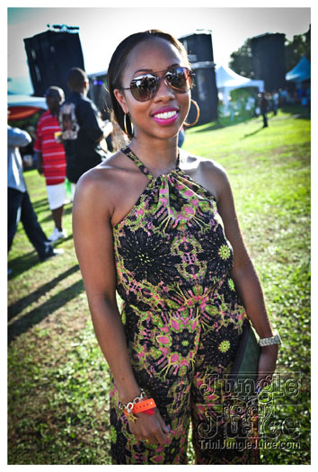 beach_house_2012_part1-045