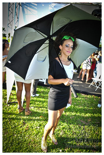 beach_house_2012_part1-046