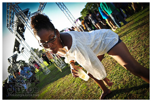 beach_house_2012_part1-051