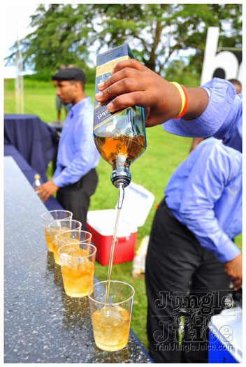 beach_house_2012_part2-006