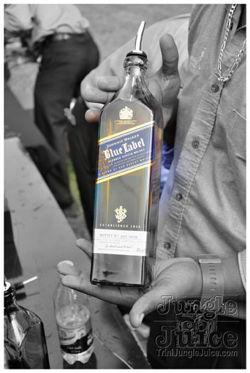 beach_house_2012_part2-008