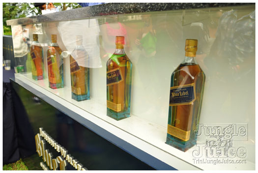 beach_house_2012_part2-009