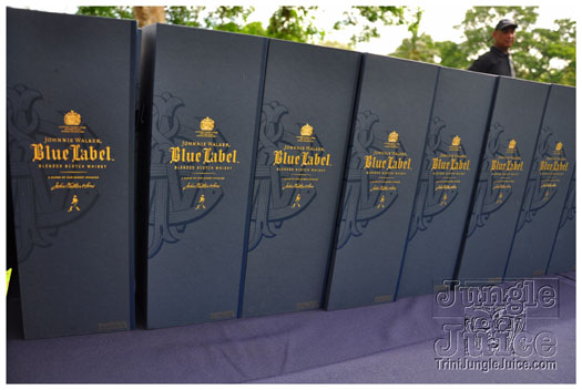 beach_house_2012_part2-010