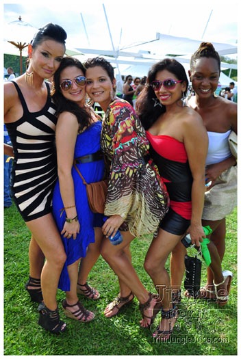 beach_house_2012_part2-020