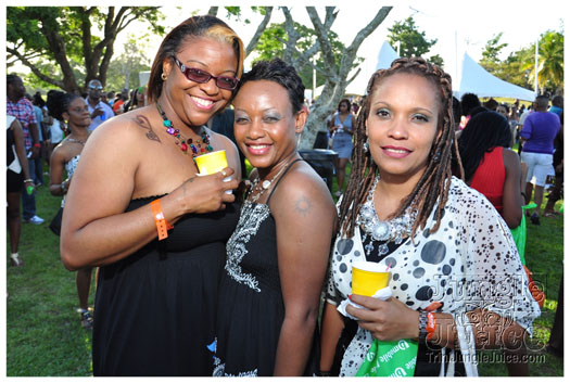 beach_house_2012_part2-046