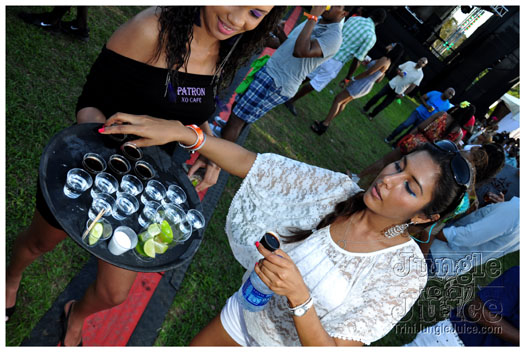 beach_house_2012_part2-086