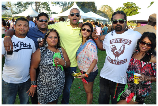 beach_house_2012_part2-119