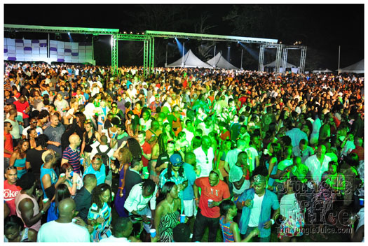 beach_house_2012_part3-013