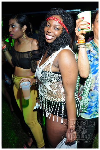 beach_house_2012_part3-024