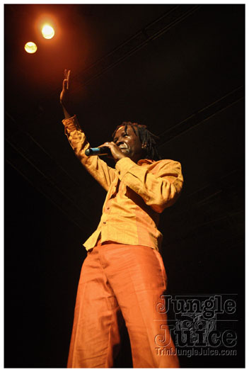 chaka_khan_concert_may12-009