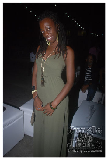 chaka_khan_concert_may12-016