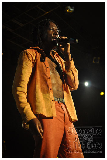 chaka_khan_concert_may12-021