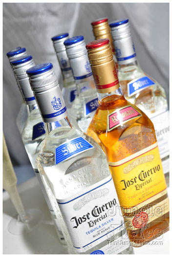 fatima_all_inclusive_2012_part2-140