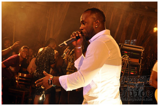 fay_ann_lyons_live_jan18-035