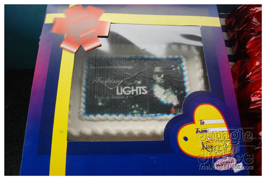 flashing_lights_sep30-003