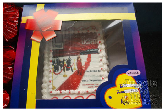 flashing_lights_sep30-004