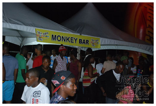 funky_monkey_aug11-008