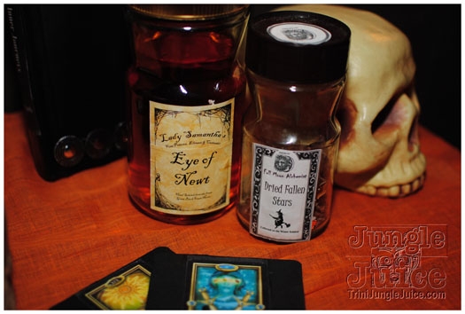 haunted_mansion_2012_oct27-004