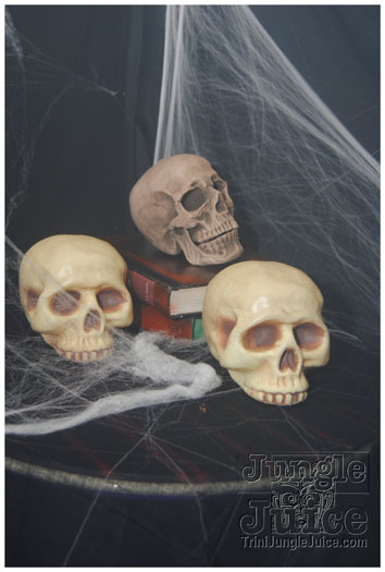 haunted_mansion_2012_oct27-112