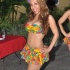hot_samba_nights_2012-001
