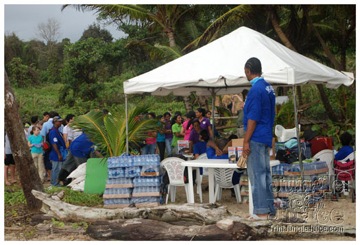 island_local_save_turtle_mar4-003