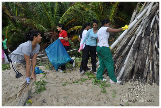 island_local_save_turtle_mar4-013