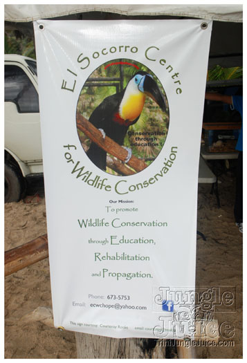 island_local_save_turtle_mar4-014