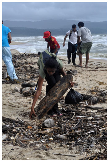 island_local_save_turtle_mar4-015