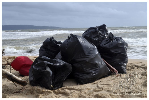 island_local_save_turtle_mar4-021