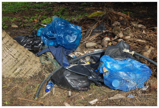 island_local_save_turtle_mar4-024