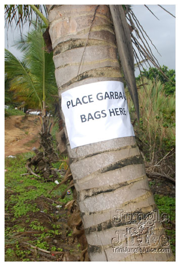 island_local_save_turtle_mar4-025