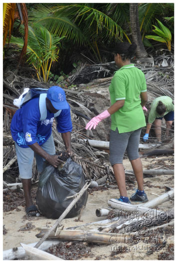 island_local_save_turtle_mar4-027