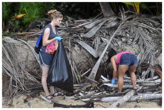 island_local_save_turtle_mar4-028