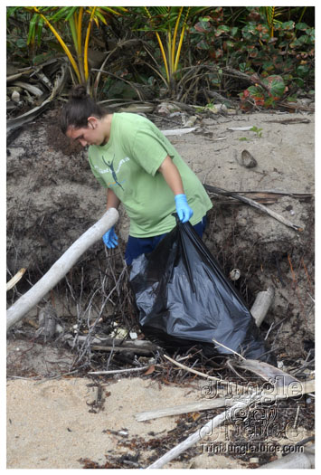 island_local_save_turtle_mar4-029