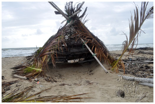 island_local_save_turtle_mar4-034