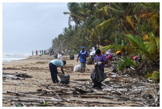 island_local_save_turtle_mar4-035