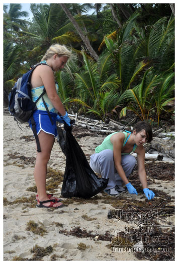 island_local_save_turtle_mar4-041