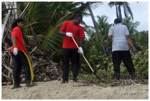 island_local_save_turtle_mar4-042