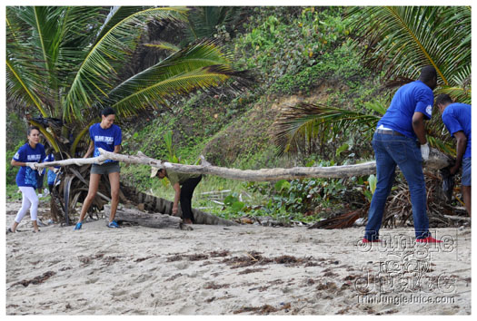 island_local_save_turtle_mar4-055