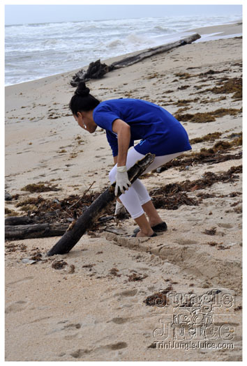 island_local_save_turtle_mar4-056