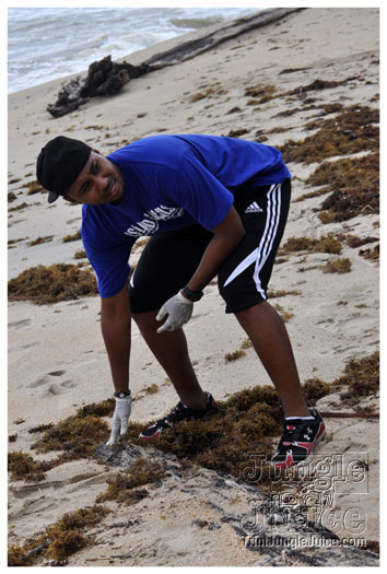 island_local_save_turtle_mar4-057