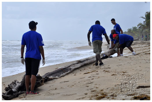 island_local_save_turtle_mar4-060