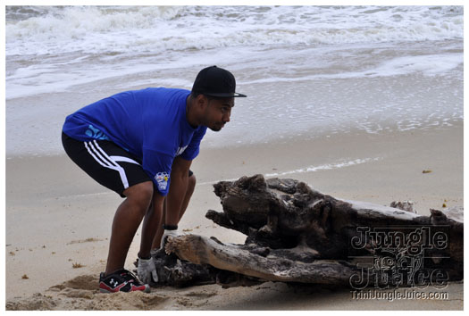 island_local_save_turtle_mar4-063