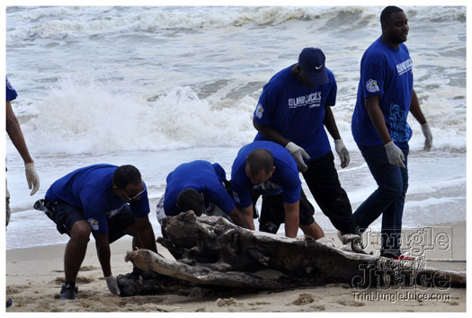 island_local_save_turtle_mar4-064