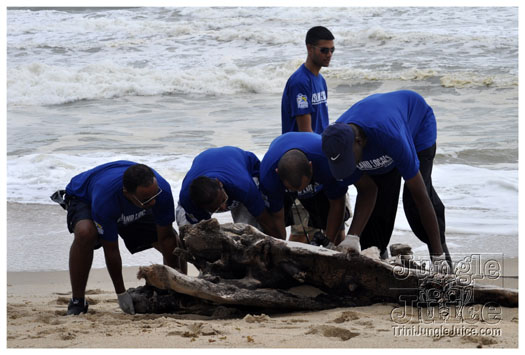 island_local_save_turtle_mar4-066