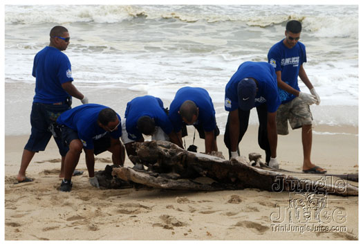 island_local_save_turtle_mar4-068