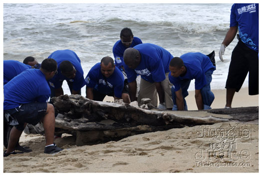 island_local_save_turtle_mar4-070