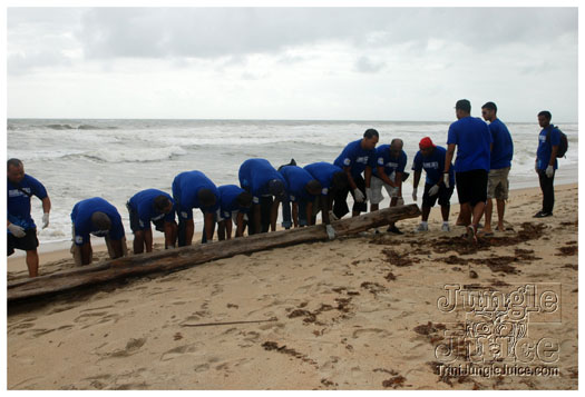 island_local_save_turtle_mar4-071