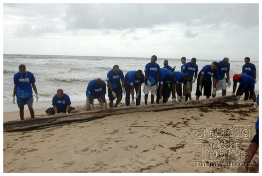 island_local_save_turtle_mar4-072